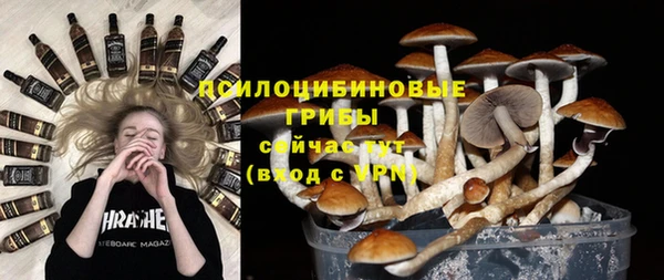 марихуана Гусиноозёрск